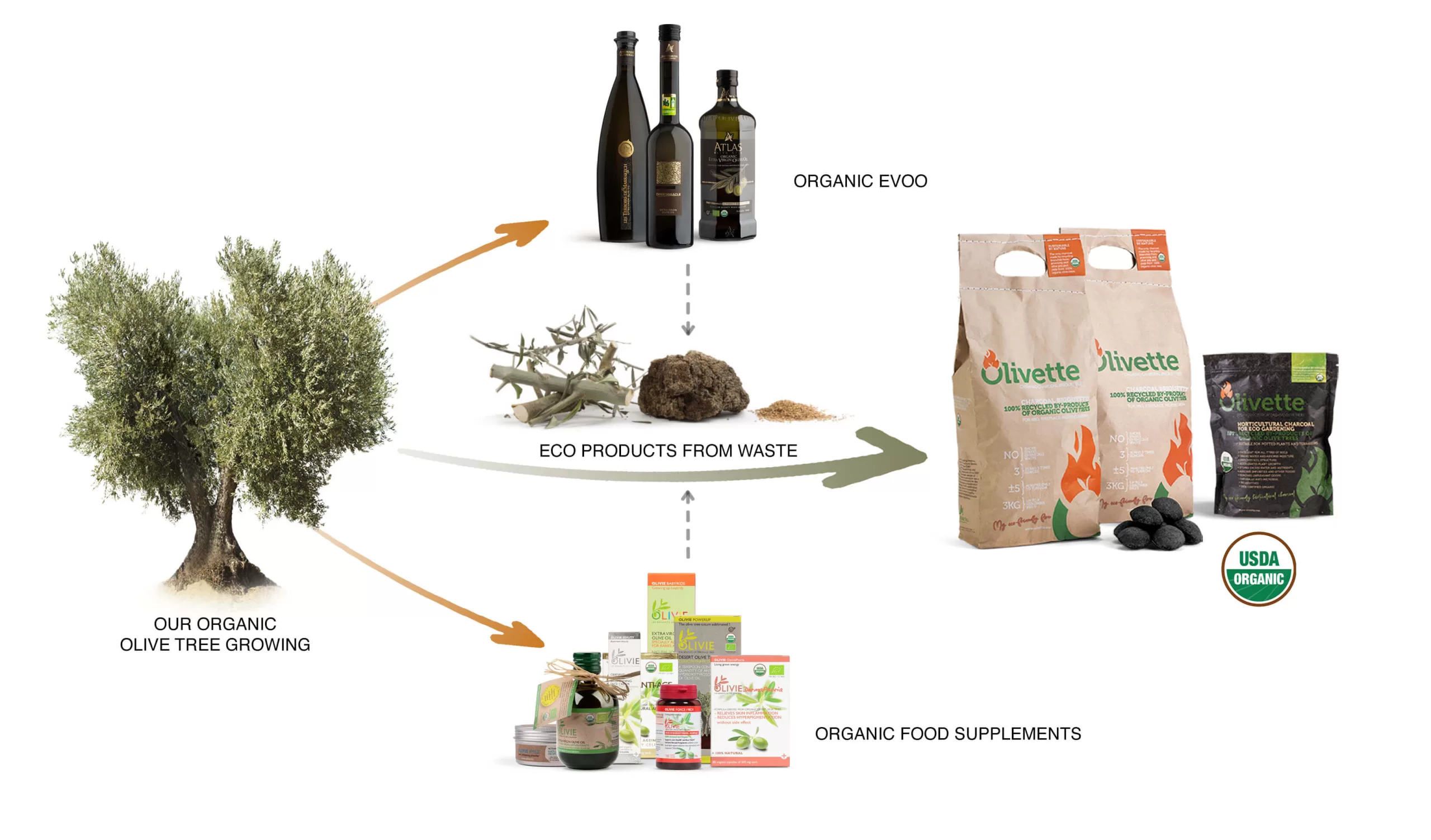 Atlas Olive Oils circular economy